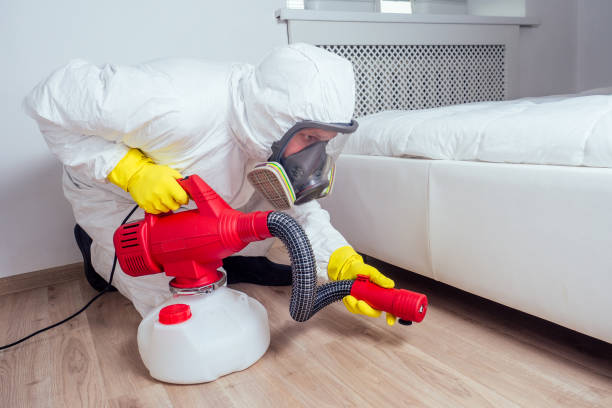 Professional Pest control in Blue Mound, TX